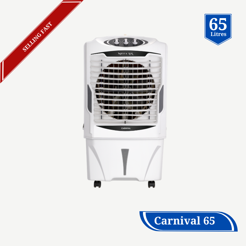 Carnival 65